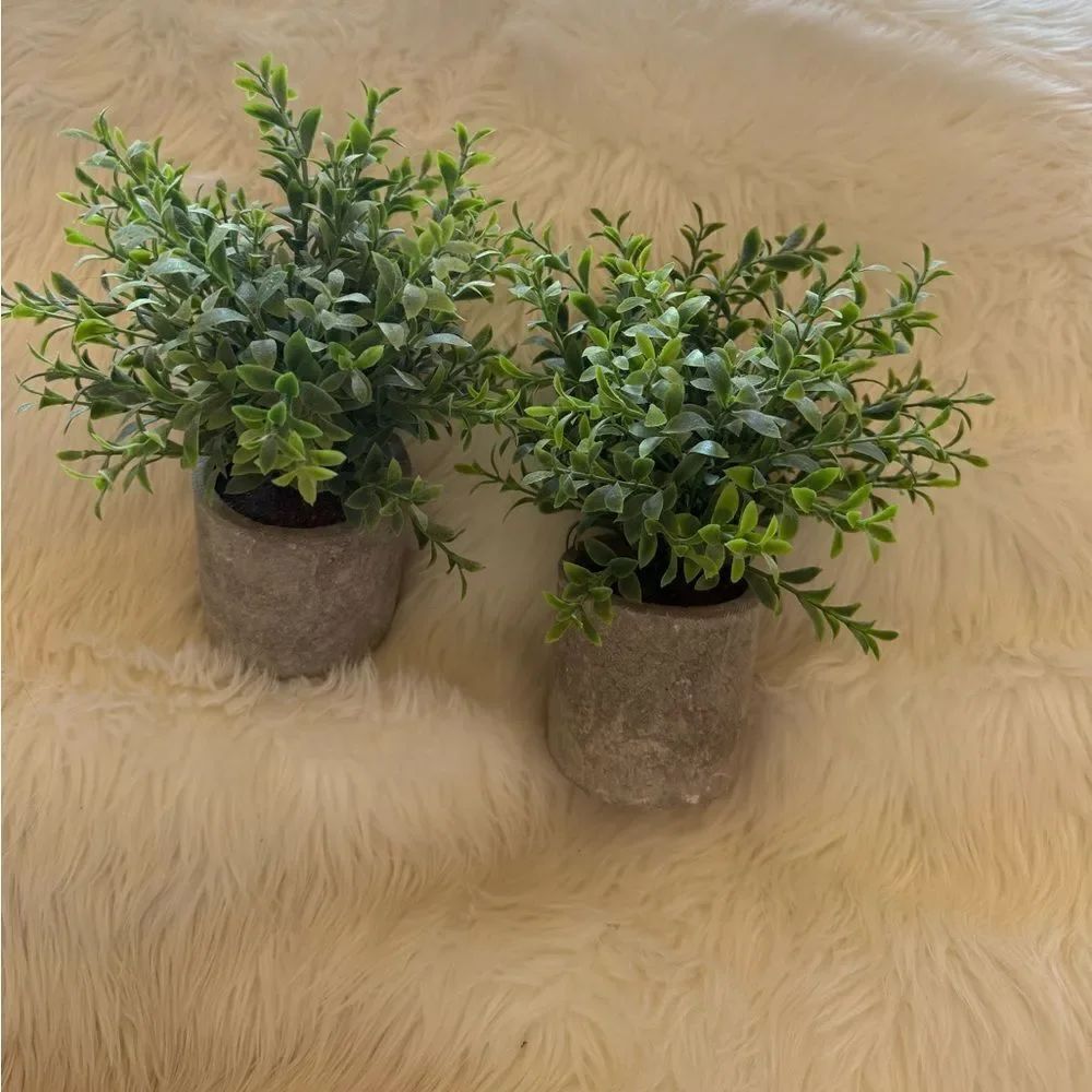Faux mini plants